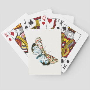Jeu De Cartes Deiopeia pulchella - Flunkey moucheté