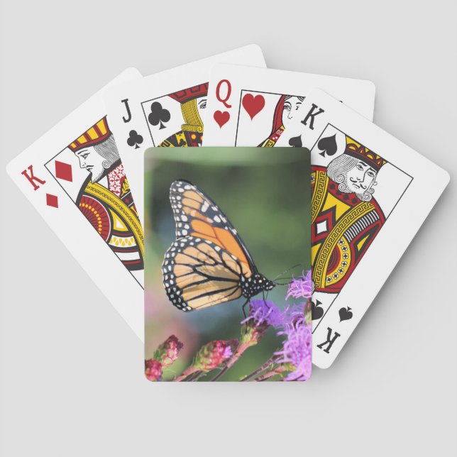 Jeu De Cartes Déjeuner monarque (dos)