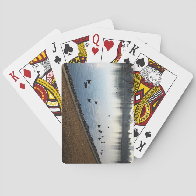 Jeu De Cartes Denver City Park (dos)