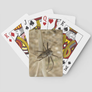 Jeu De Cartes Déplaisant Crawly Spider Jouer des cartes