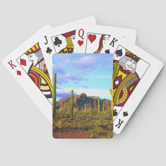 Jeu De Cartes Désert au printemps (dos)