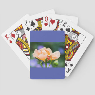 Jeu De Cartes désir