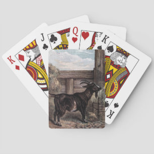 Jeu De Cartes Dessin vintage : Chèvre de brun foncé