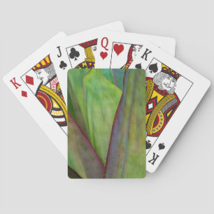 Jeu De Cartes Détail de la plante d'Agave