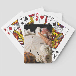 Jeu De Cartes Détail Des Coquillages Du Monde Entier