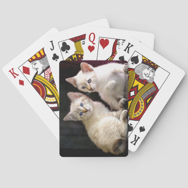 Jeu De Cartes Deux Bobtail de Mekong Tabby Point Kittens (dos)