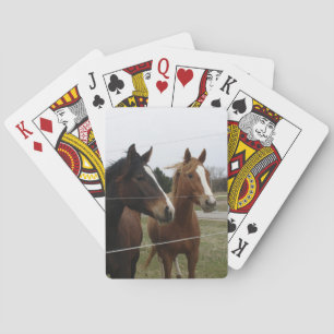 Jeu De Cartes Deux Chevaux