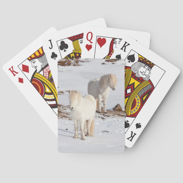 Jeu De Cartes Deux chevaux islandais blancs (dos)