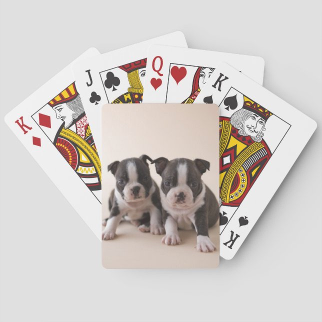 Jeu De Cartes Deux Chiots de Boston Terrier (dos)