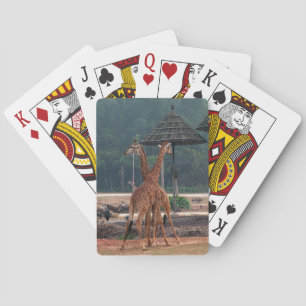 Jeu De Cartes Deux girafes se réconfortant mutuellement dans un