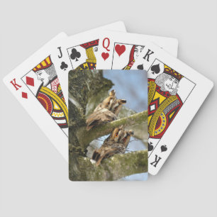 Jeu De Cartes Deux hiboux dans les bois, oiseaux, faune