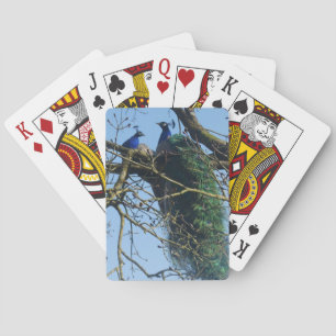 Jeu De Cartes Deux paons dans un arbre Cartes de poker