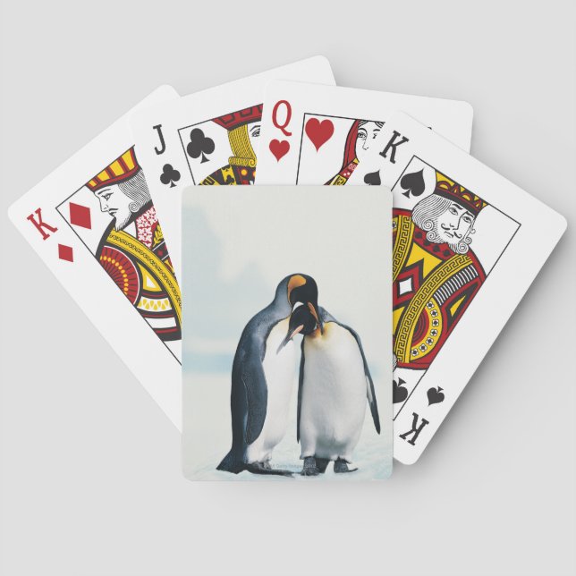 Jeu De Cartes Deux pingouins affectueux (dos)