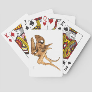 Jeu De Cartes Diabloceratops
