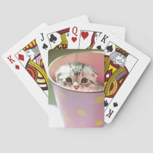 Jeu De Cartes Dissimulation de chaton