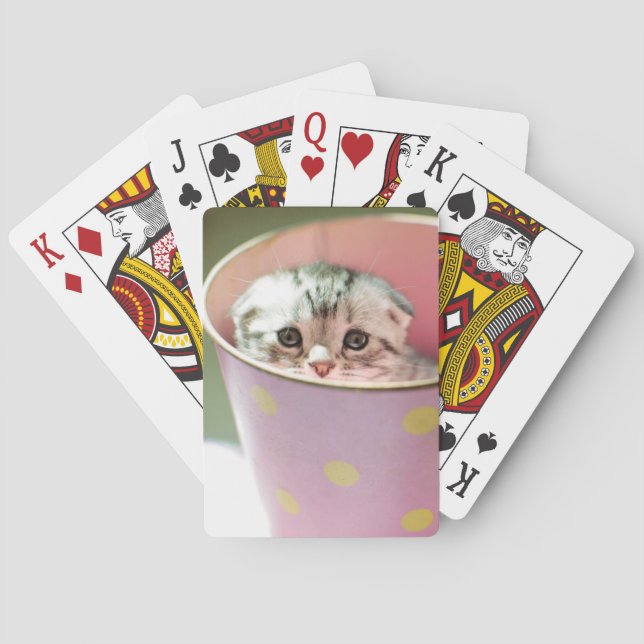 Jeu De Cartes Dissimulation de chaton (dos)