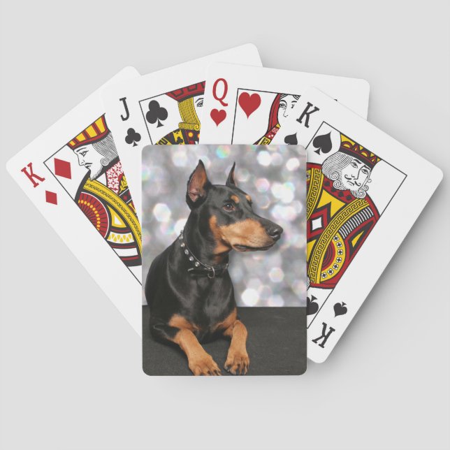 Jeu De Cartes Doberman - Megyan (dos)