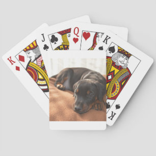 Jeu De Cartes doberman-pinscher-chiot