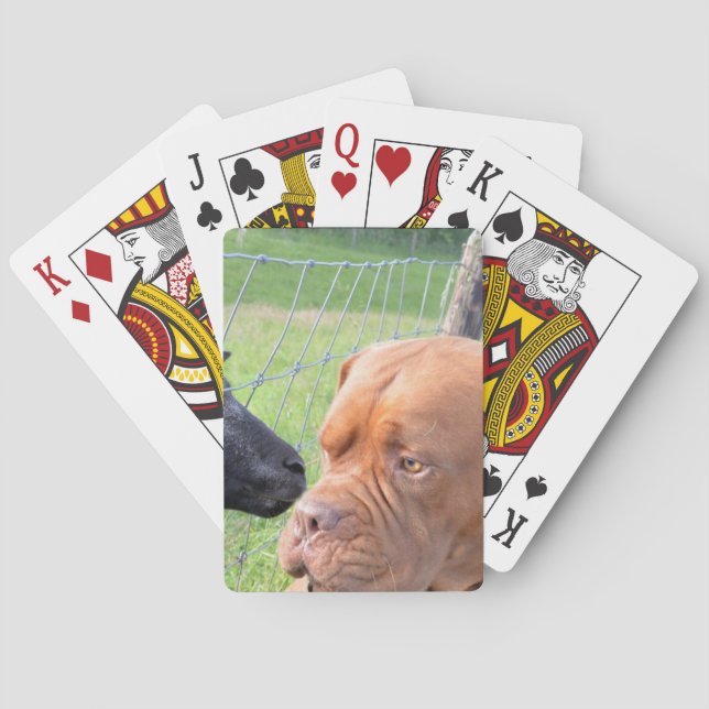 Jeu De Cartes Dogue de Bordeaux (dos)