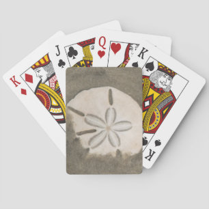 Jeu De Cartes Dollar de sable (Echinarachnius parma)