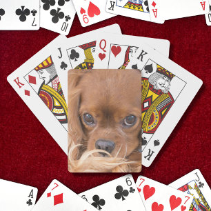 Jeu De Cartes Douce Ruby Cavalier King Charles Spaniel