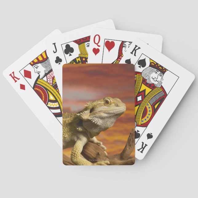 Jeu De Cartes Dragon à épaulettes (Pogona Vitticeps) sur branche (dos)