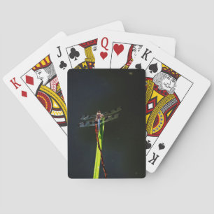 Jeu De Cartes Dragonfly bleu et noir sur gazon vert et rouge