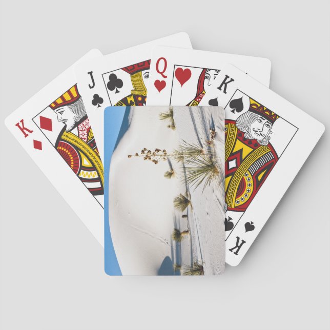 Jeu De Cartes Dunes transversales et Yucca à feuilles de savon (dos)