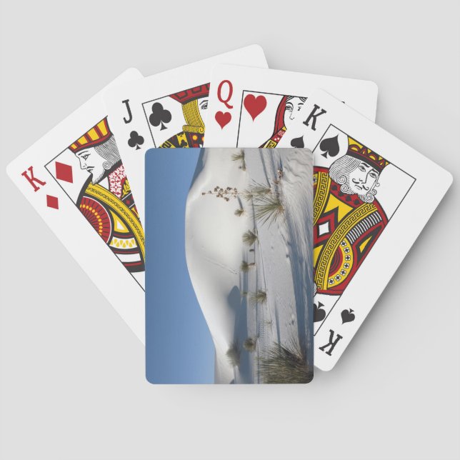 Jeu De Cartes Dunes transversales et Yucca Soaptree (dos)