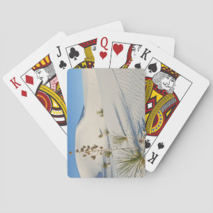 Jeu De Cartes Dunes transversales, Yucca, ombres