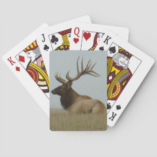 Jeu De Cartes E5 Gros Élan Mâle Patron Élan