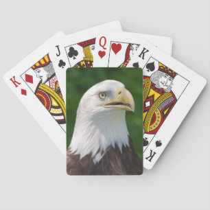 Jeu De Cartes Eagle chauve