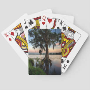 Jeu De Cartes Eau Kraft Azalea Park Maitland Floride
