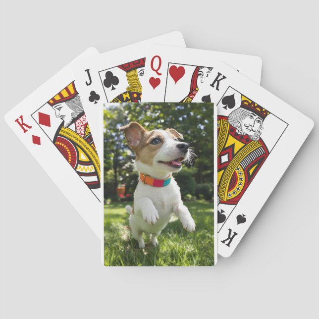 Jeu De Cartes Éclat de Joie Canine (dos)