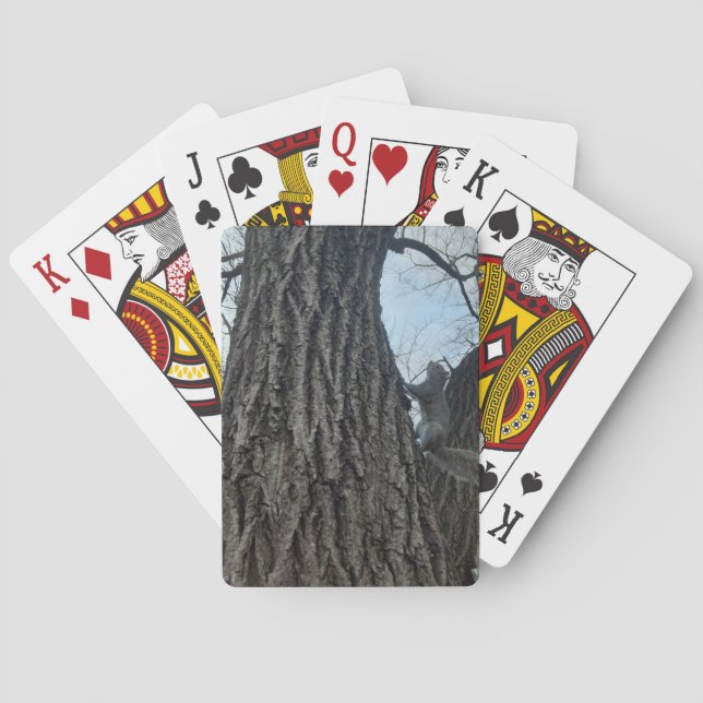 Jeu De Cartes Écureuil (dos)