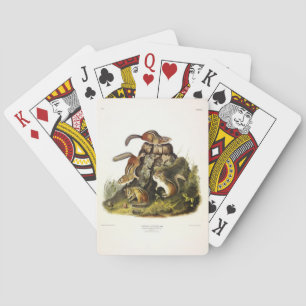 Jeu De Cartes Écureuil à écorce ( Chipmunk oriental ) par Audubo