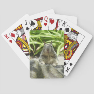 Jeu De Cartes Écureuil à l'ombre Jouer des cartes