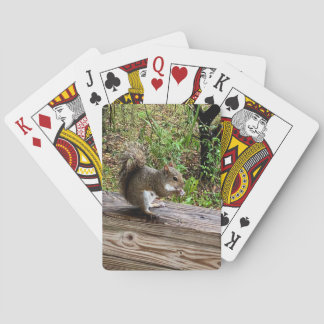 Jeu De Cartes Écureuil affamé