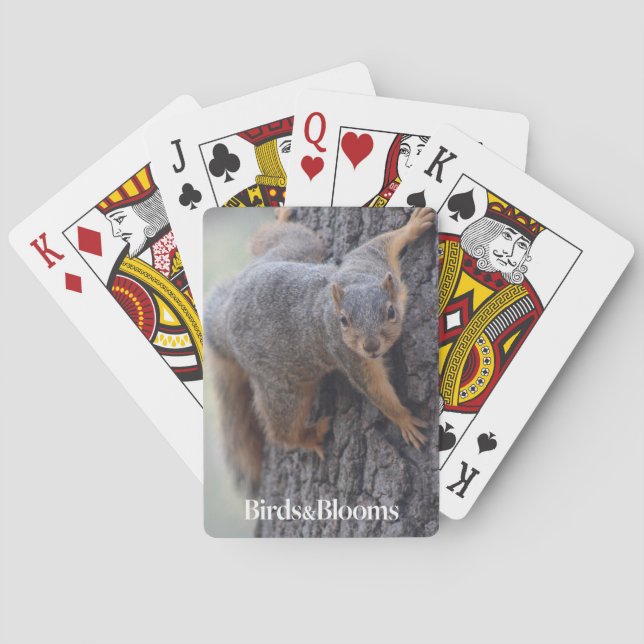 Jeu De Cartes Écureuil de accrochage (dos)