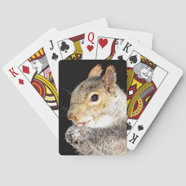 Jeu De Cartes Écureuil mangeant une noix (dos)