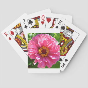 Jeu De Cartes Élégant classique floral rose fleur marguerite