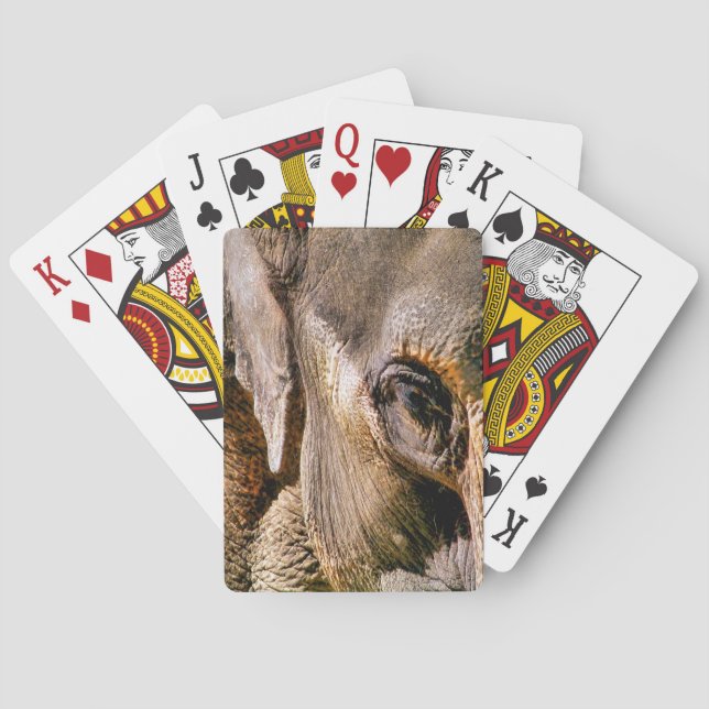 JEU DE CARTES ÉLÉPHANT (dos)