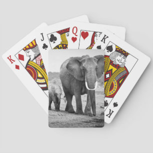 Jeu De Cartes Éléphant africain et veaux   Kenya, Afrique