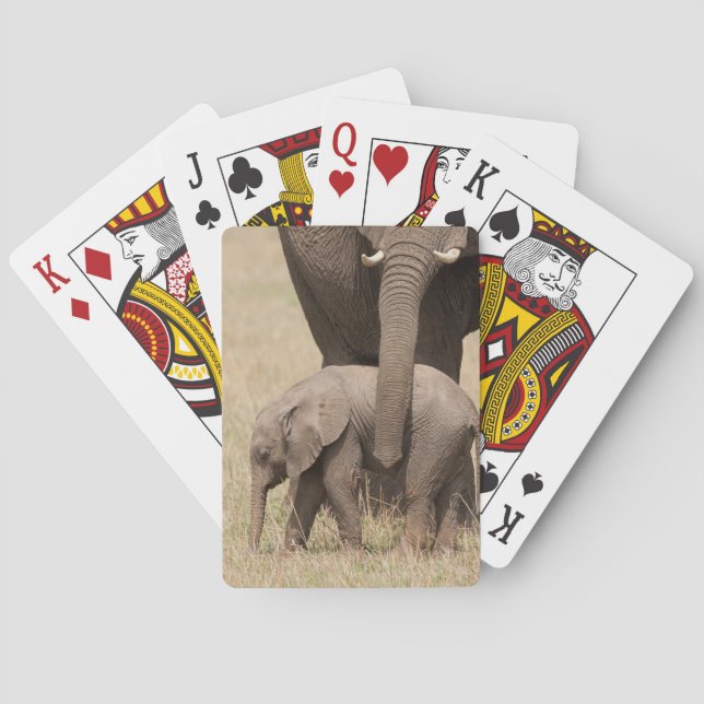 Jeu De Cartes Eléphant Bébé Africain avec mère (dos)