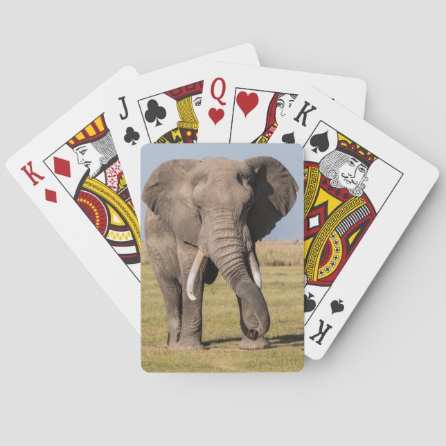 Jeu De Cartes Éléphant dans une pose agressive (dos)