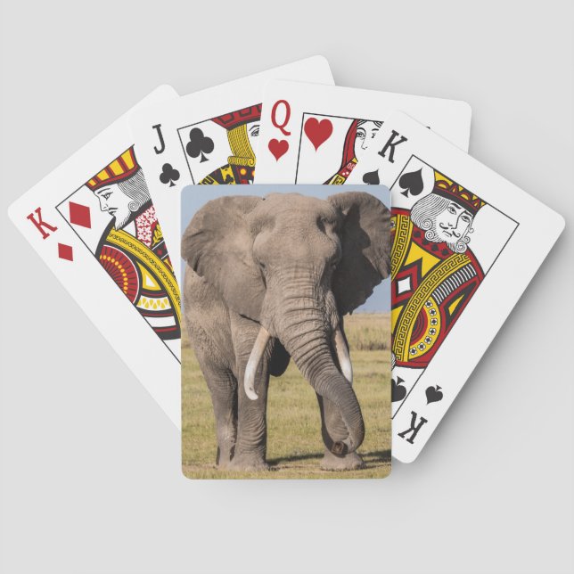 Jeu De Cartes Éléphant dans une posture agressive (dos)