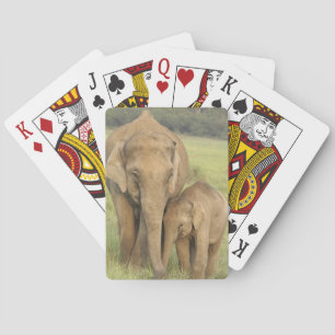 Jeu De Cartes Éléphant indien/asiatique et jeunes un, Corbett
