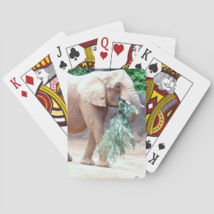 Jeu De Cartes Eléphant Jouer aux cartes