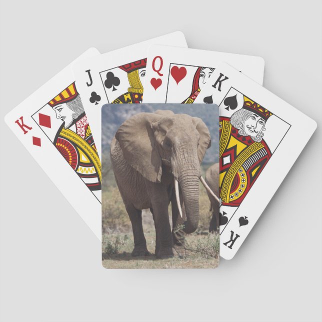 Jeu De Cartes Éléphant mère marchant avec un éléphant jeune (dos)