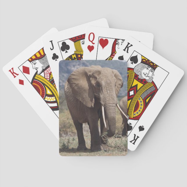 Jeu De Cartes Éléphante marchant avec un éléphanteau (dos)
